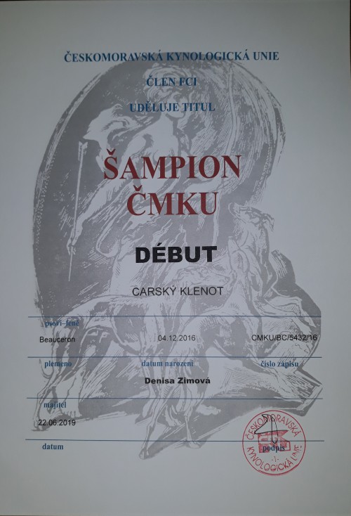 sampion-cmku-debut.jpg