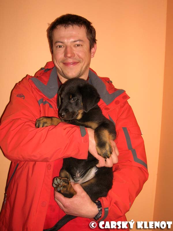 With new owner (CZ) - 8 weeks