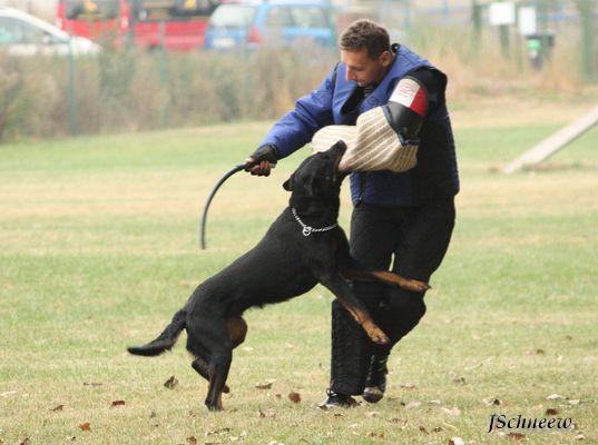 Competition O pohár Jižního Města - ZVV1 2nd place