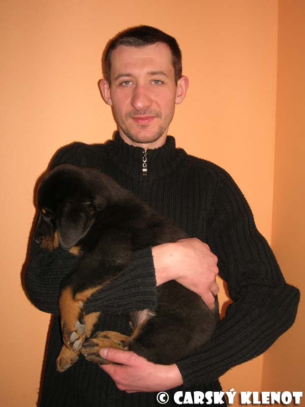 With new owner (CZ) - 8 weeks