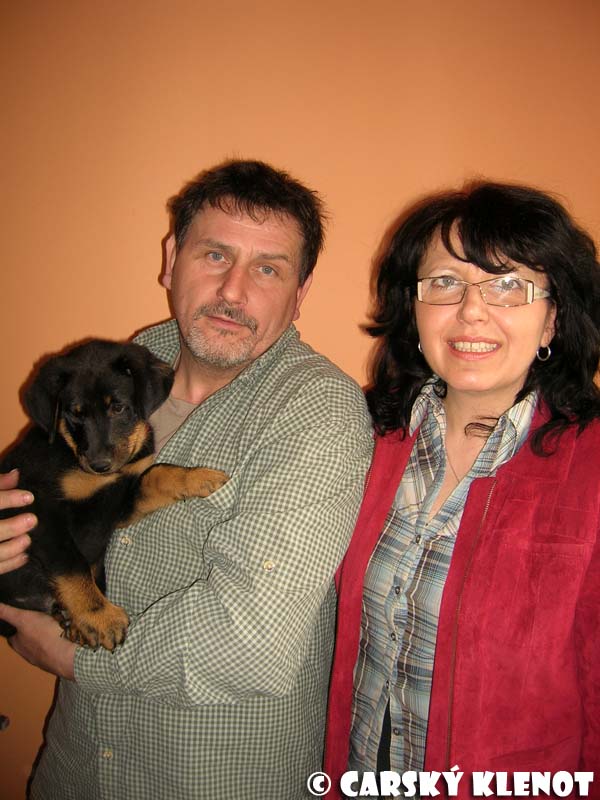 With new owners (CZ) - 8 weeks