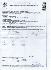 osteochondroza-cadence.jpg