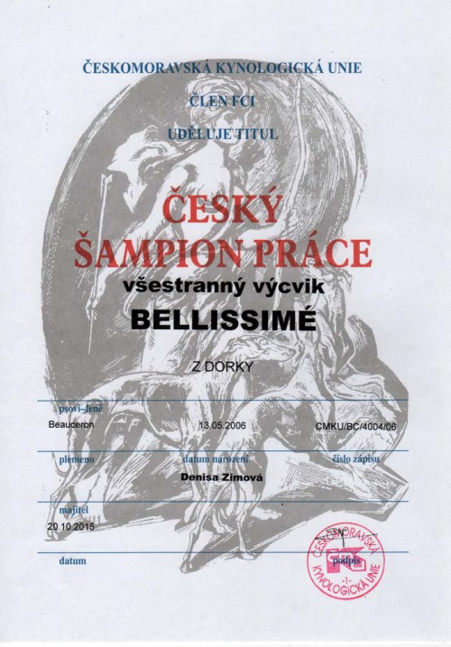 bellinka-sampion-prace.jpg