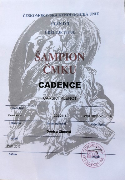 sampion-cmku-cadence.jpg