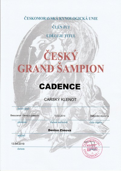 cesky-grand-sampion.jpg