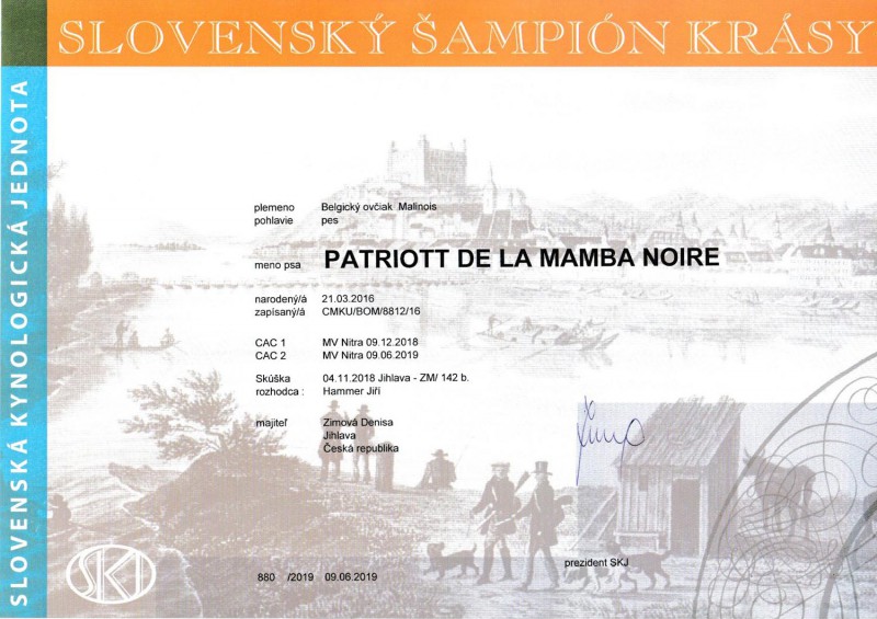 slovensky-sampion-krasy-patriott.jpg