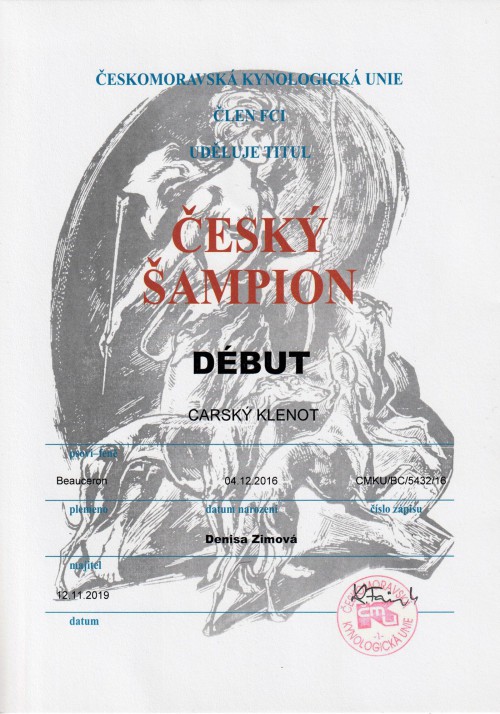 cesky-sampion-debut.jpg