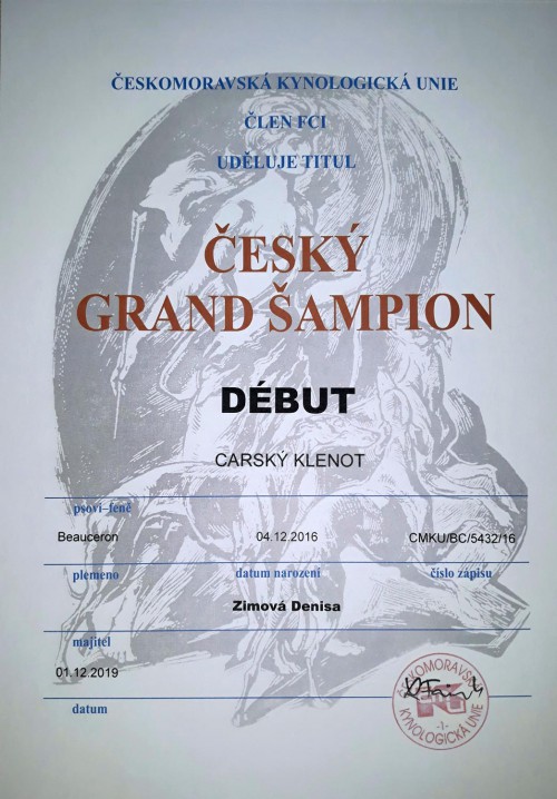cesky-grand-sampion-debut.jpg