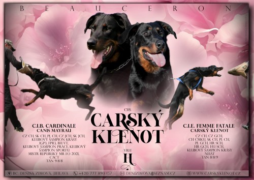 carsky-klenot2_zmenseny.jpg