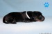 2_days old
